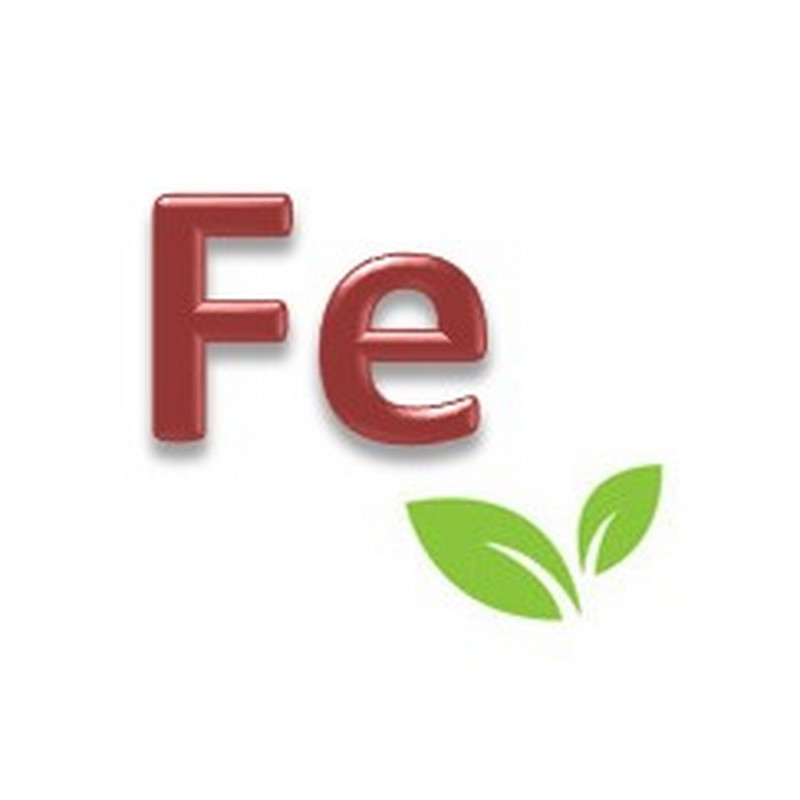 PLANTIN FER 648