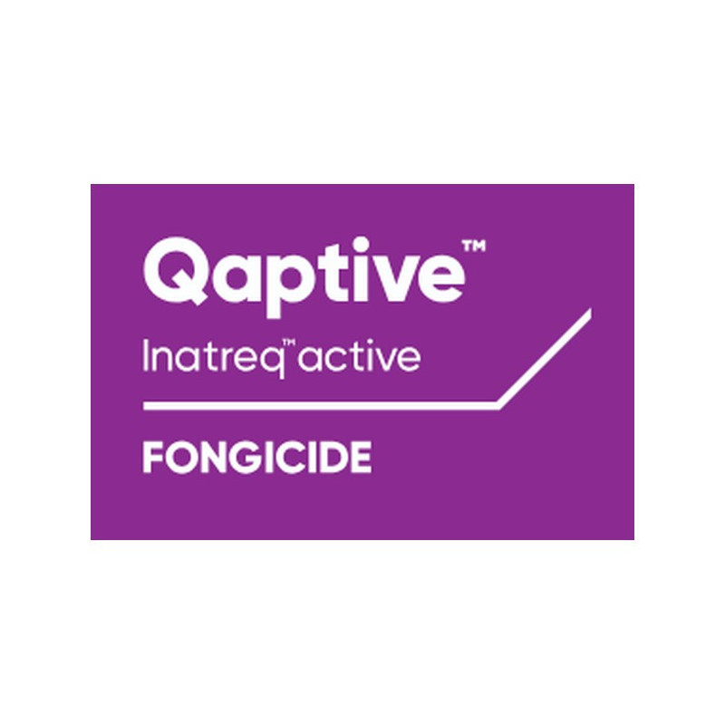 QAPTIVE