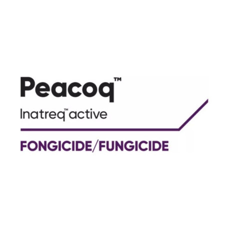 PEACOQ