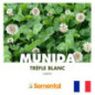 Trèfle blanc géant MUNIDA Bio