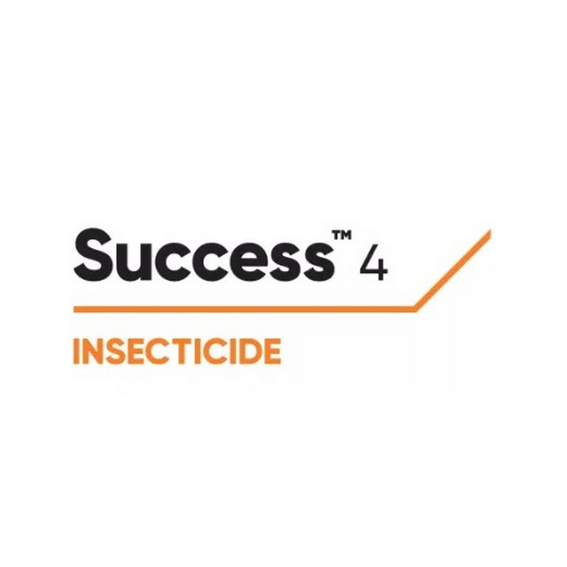 SUCCESS 4