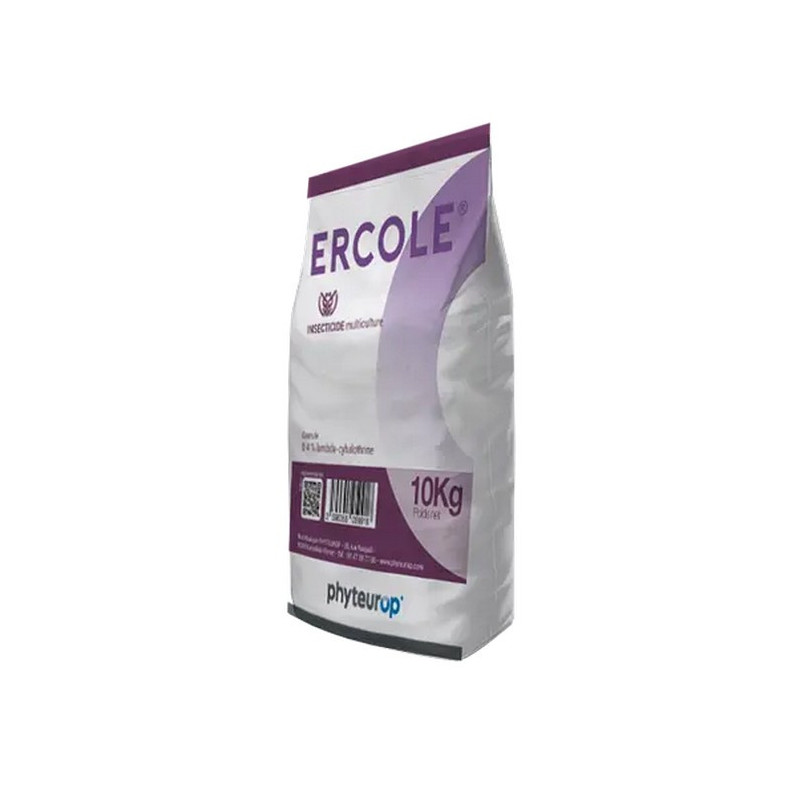 ERCOLE ERCOLE