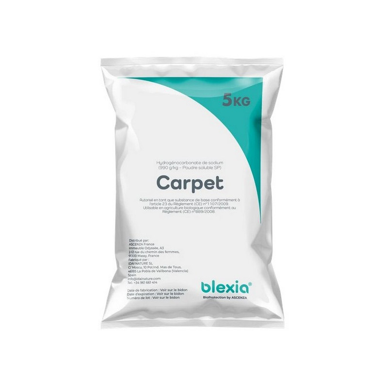 CARPET