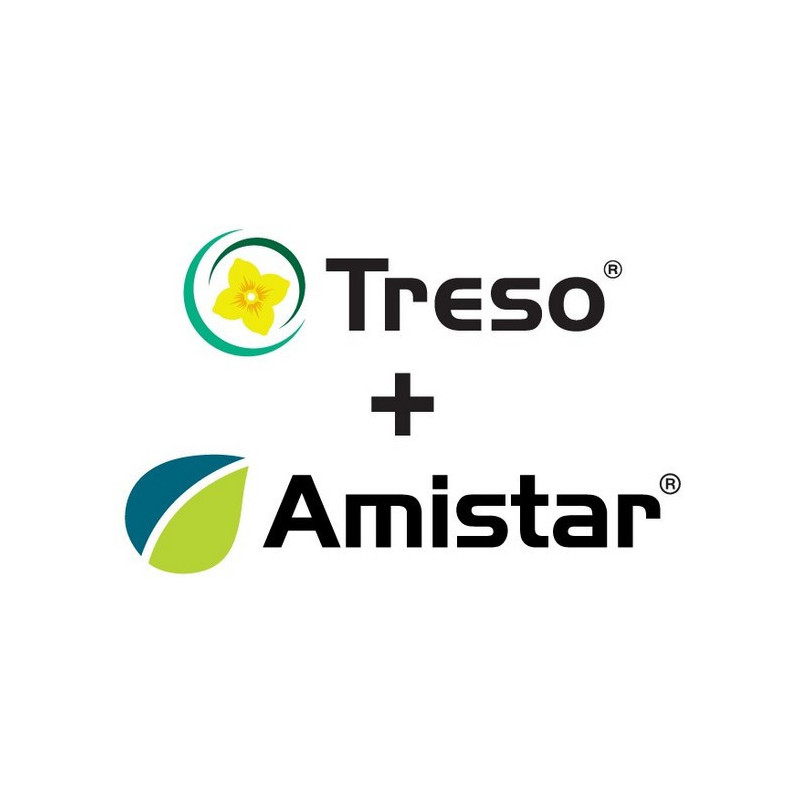 PACK TRESO + AMISTAR PACK TRESO + AMISTAR