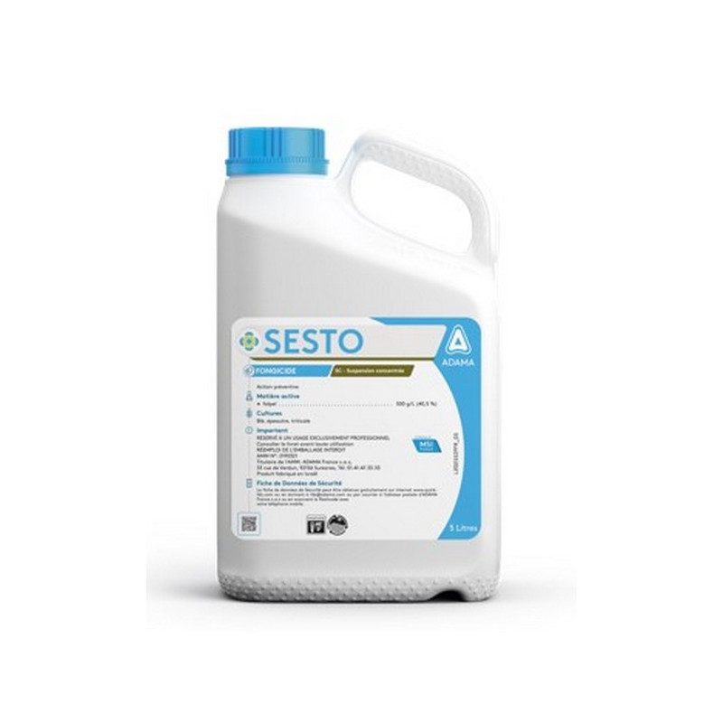 SESTO SESTO