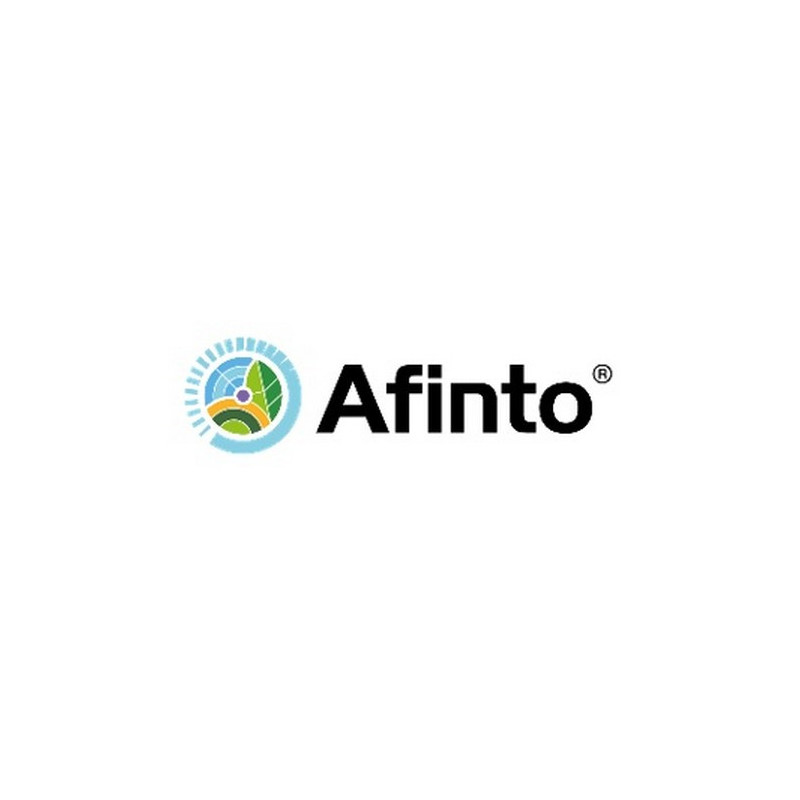 AFINTO AFINTO