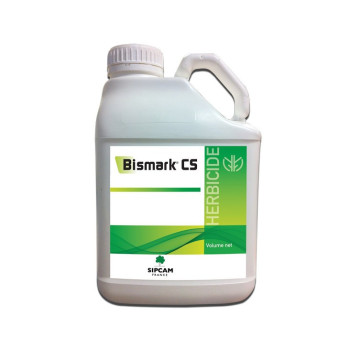 BISMARK CS