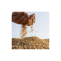 18488-Traité TMG - Big dose 12 M gr (Bigbag)