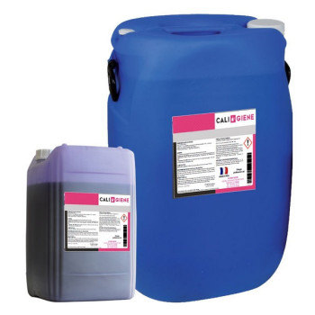 FILM PURPLE 