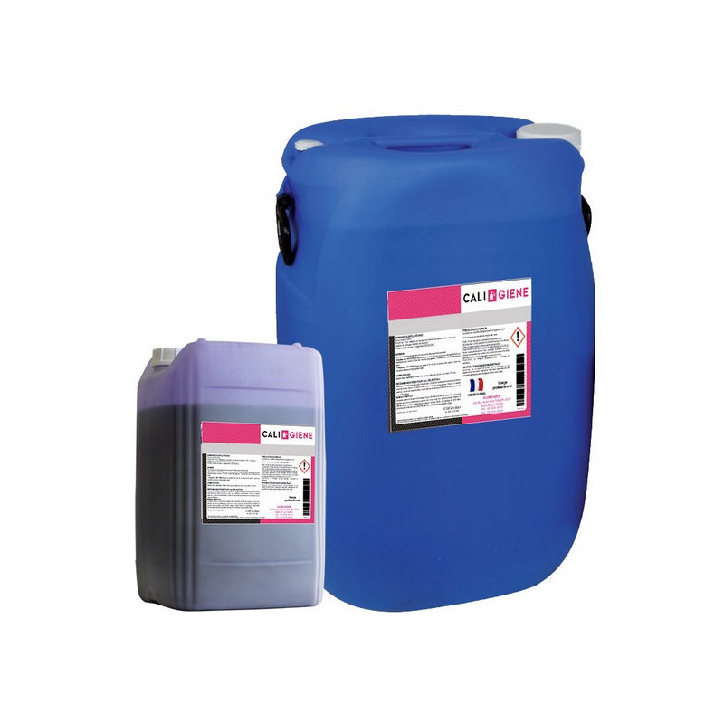 FILM PURPLE 