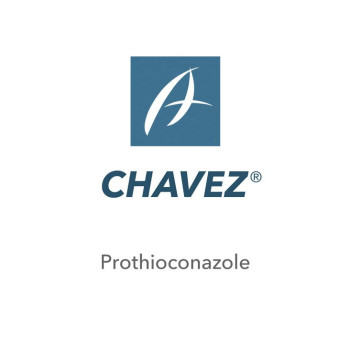 CHAVEZ