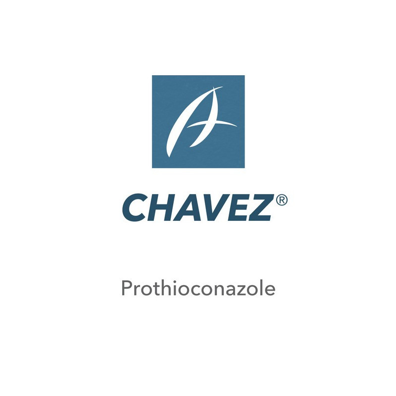 CHAVEZ CHAVEZ