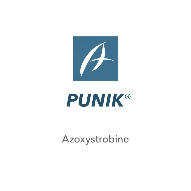 PUNIK PUNIK