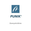 PUNIK