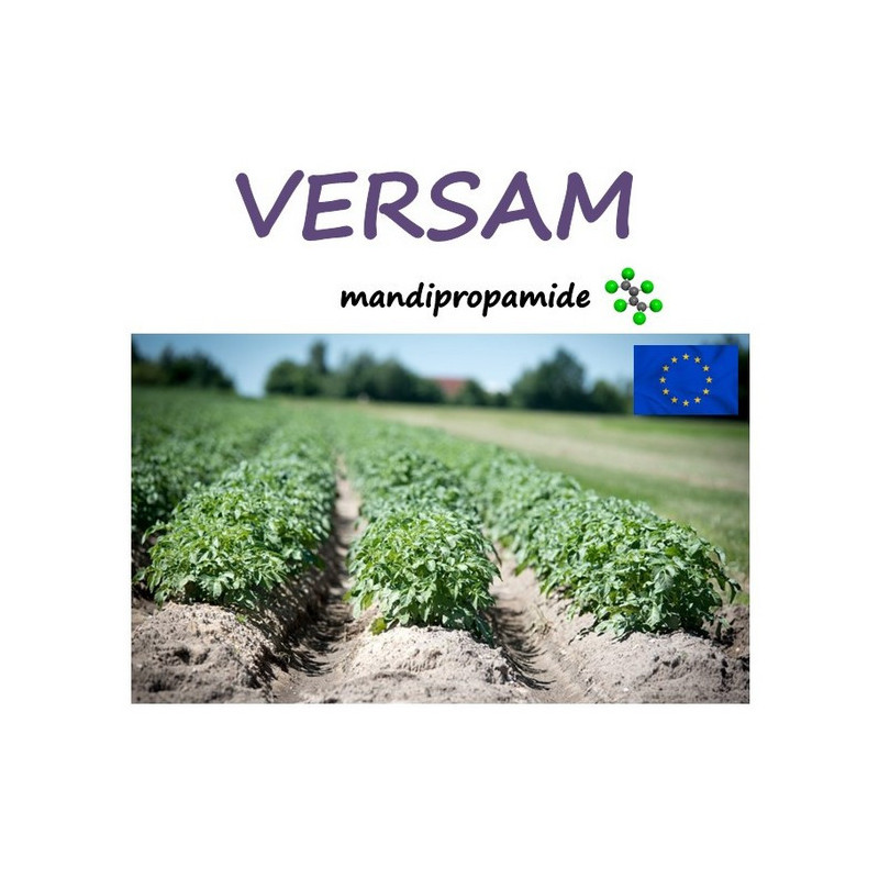 VERSAM VERSAM