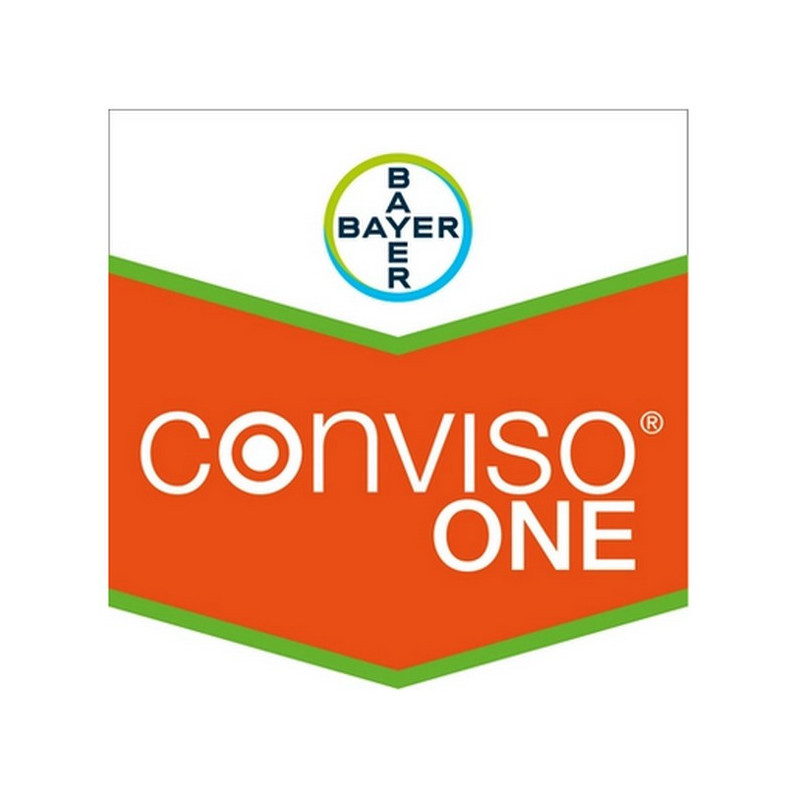 CONVISO ONE CONVISO ONE