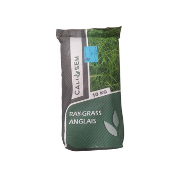 RGA 2N tardif ZORGUE, Ray-grass Anglais