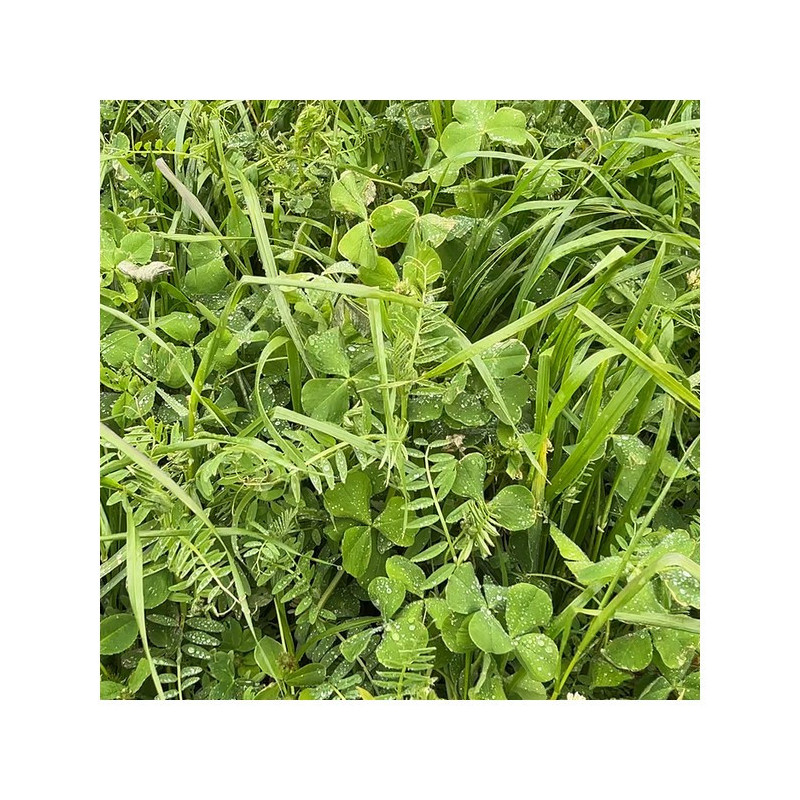Mélange QUALI HERB' MAT