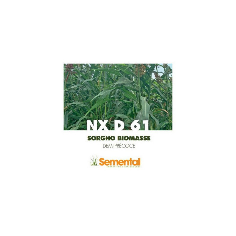 Sorgho Méthanisastion - NXD 61