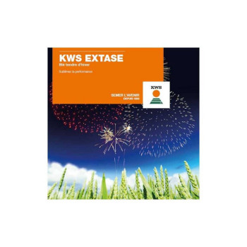 Blé KWS EXTASE