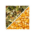 21279-Dose 50 000 gr