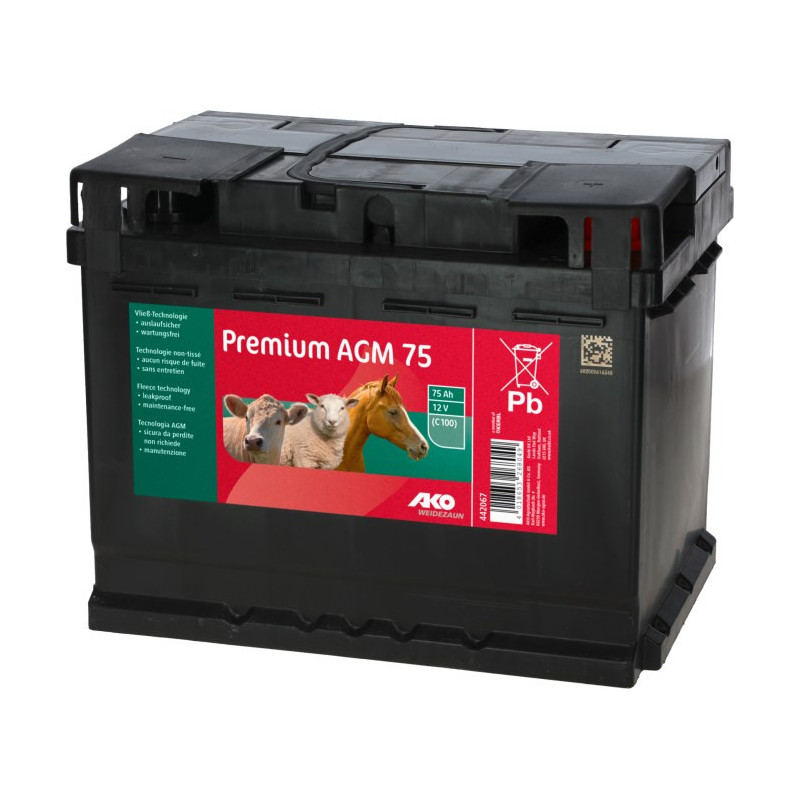 Batterie AGM PREMIUM 75 Ah Batterie AGM PREMIUM 75 Ah