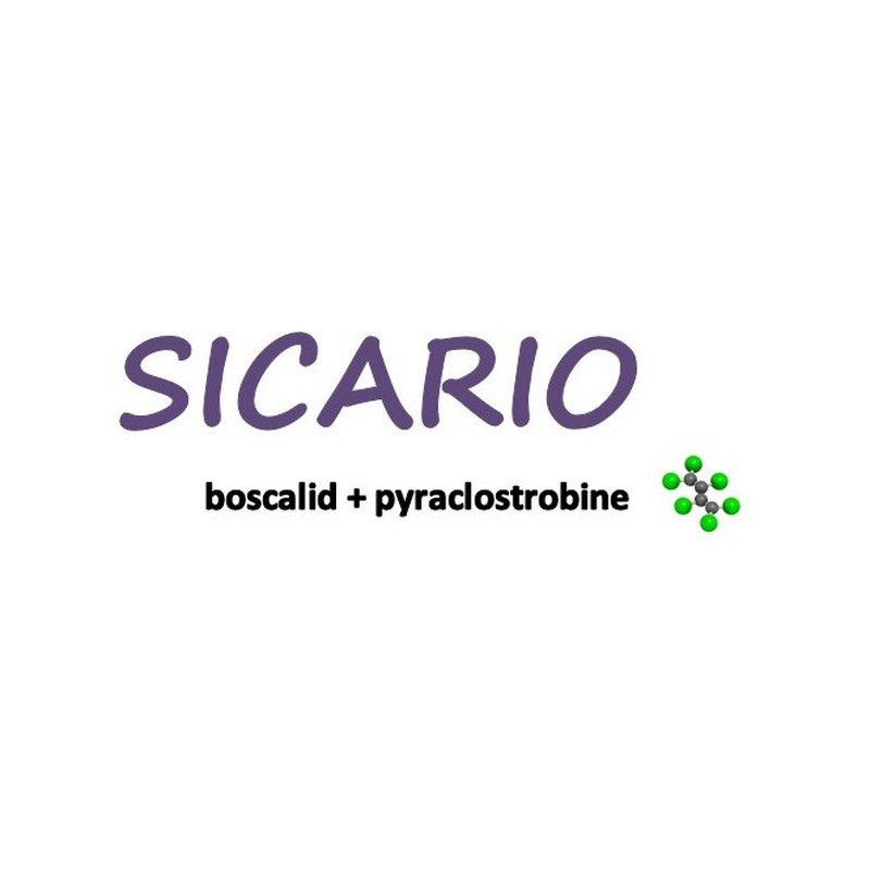 SICARIO SICARIO