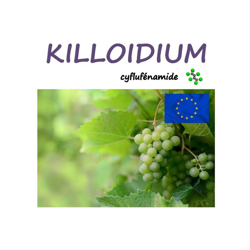 KILLOIDIUM KILLOIDIUM