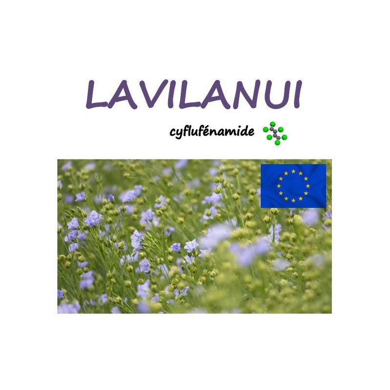 LAVILANUI LAVILANUI