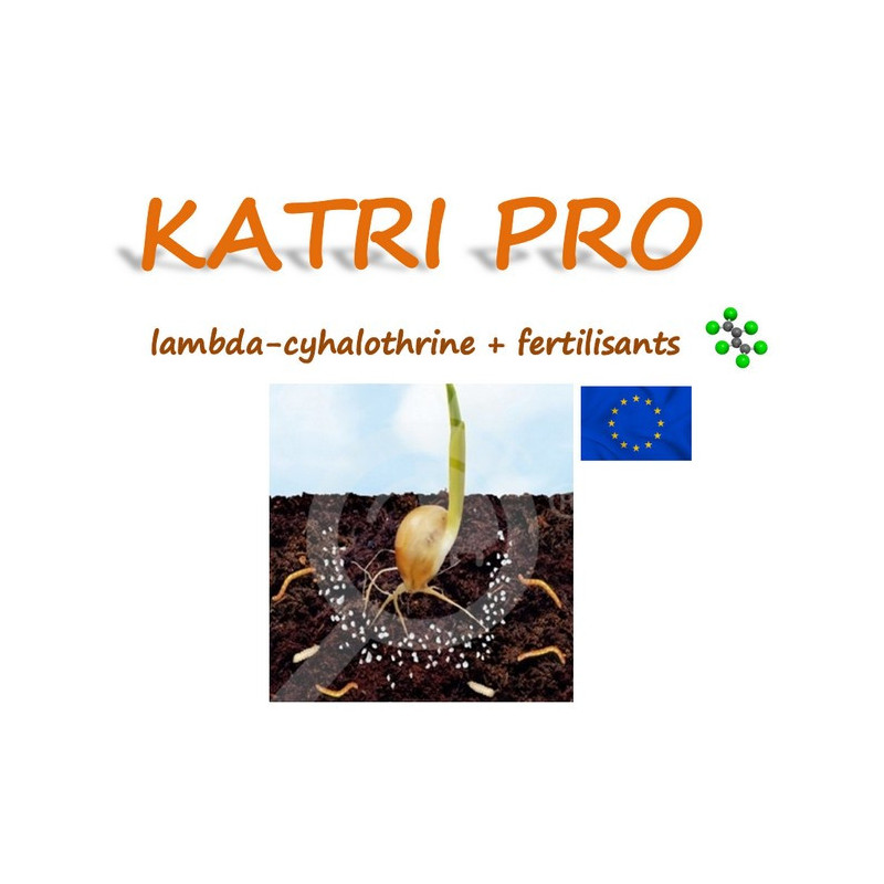 KATRI PRO KATRI PRO