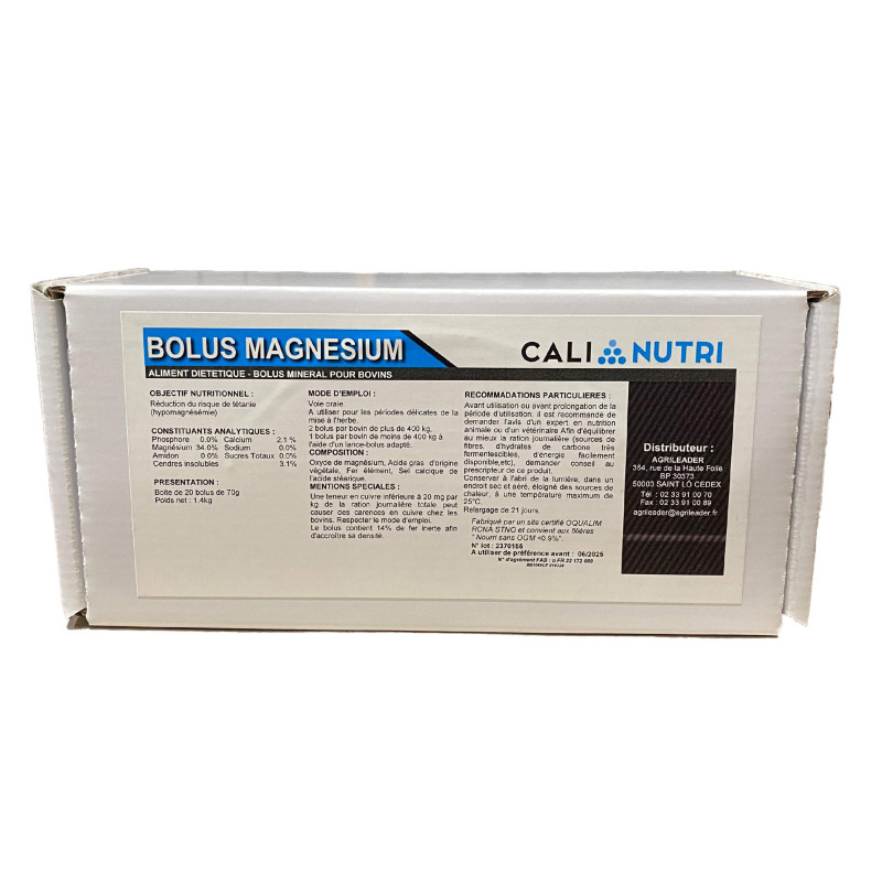 BOLUS MAGNESIUM BOLUS MAGNESIUM