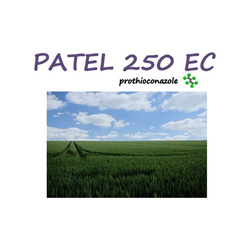 PATEL 250 EC PATEL 250 EC