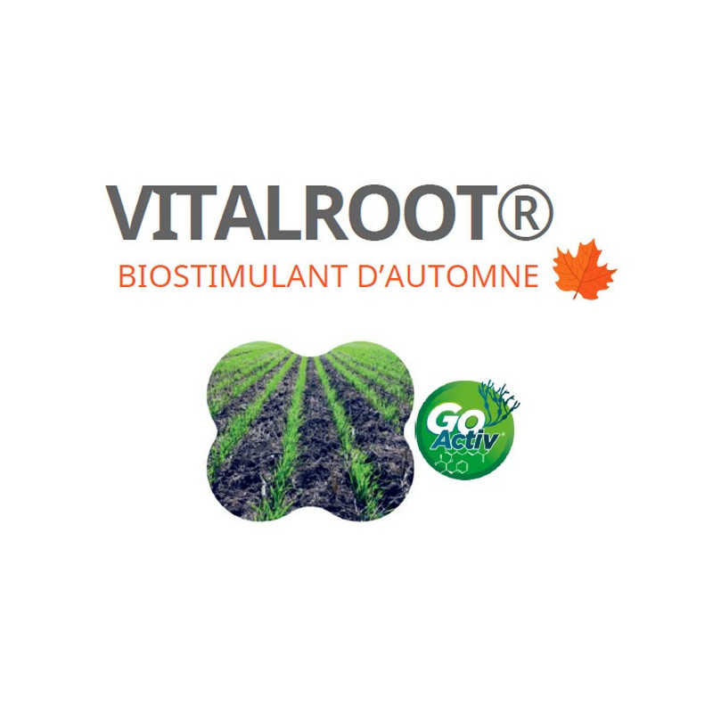 VITALROOT VITALROOT