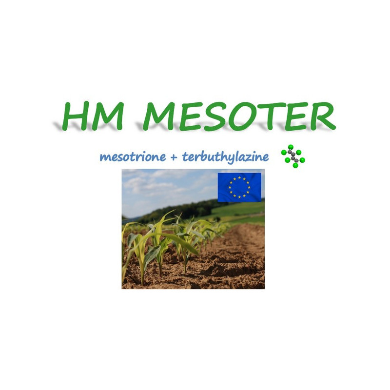 HM MESOTER HM MESOTER