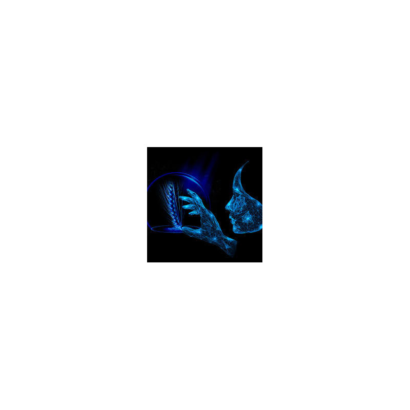 Orge hiv. 6R KWS INNOVATRIS
