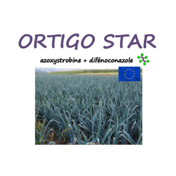 ORTIGO STAR