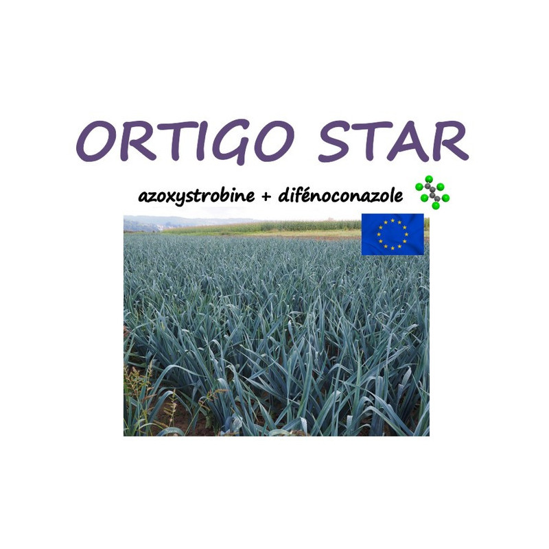 ORTIGO STAR ORTIGO STAR