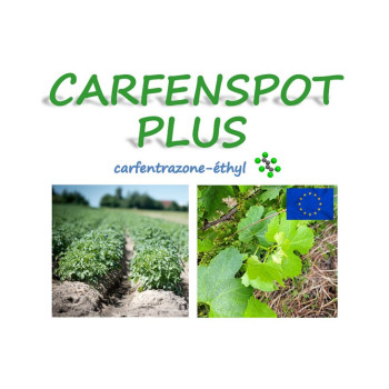 CARFENSPOT PLUS