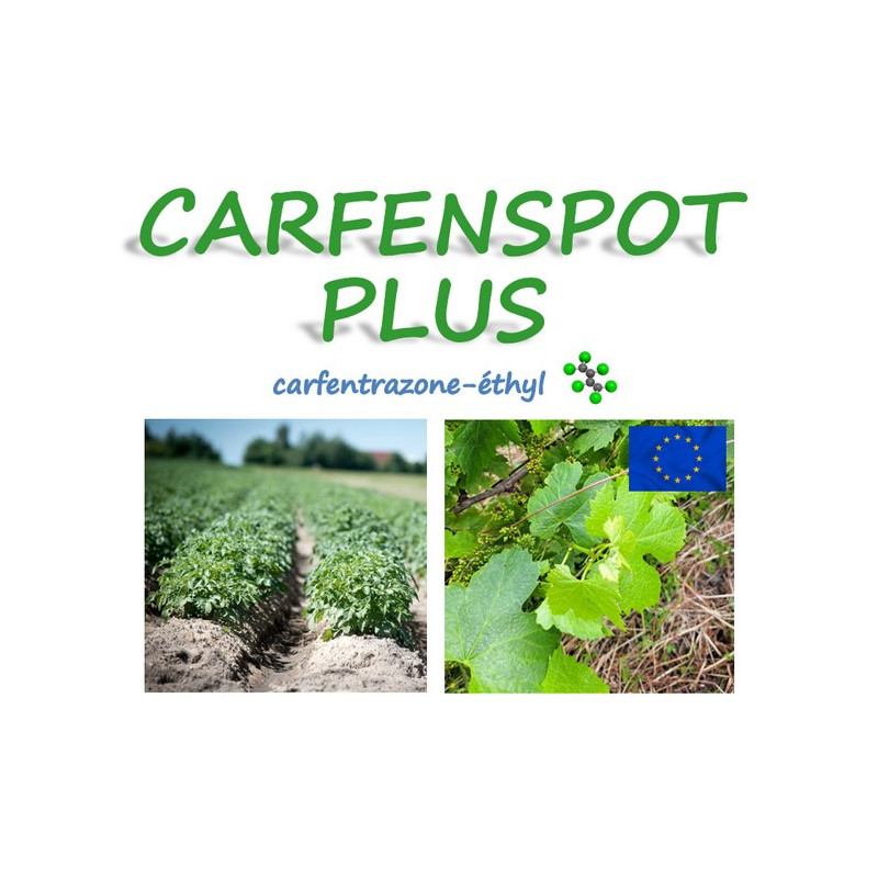 CARFENSPOT PLUS CARFENSPOT PLUS