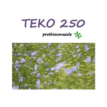 TEKO 250