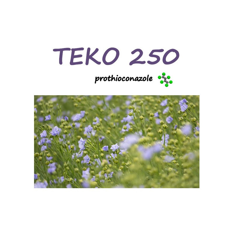 TEKO 250 TEKO 250