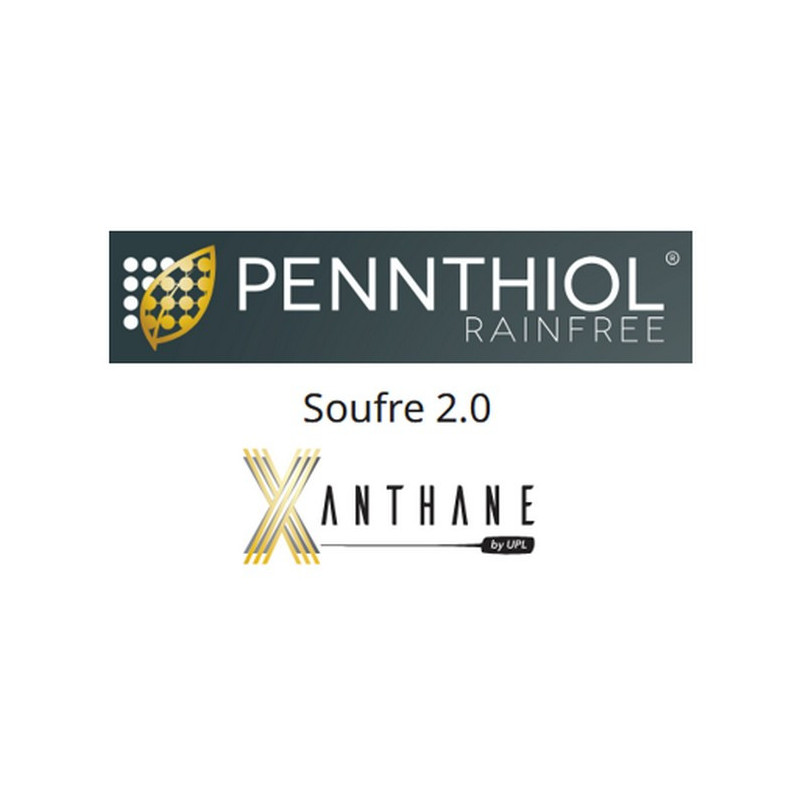 PENNTHIOL RAINFREE