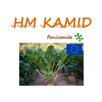 HM KAMID