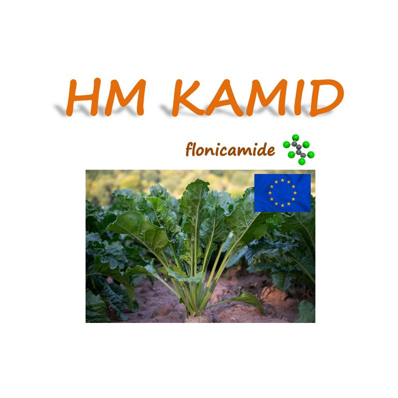 HM KAMID HM KAMID
