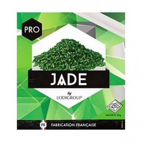 JADE GRAIN (avoine nue)