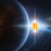 Blé KWS GLOBE (TMG) - Dose 0,5 M gr