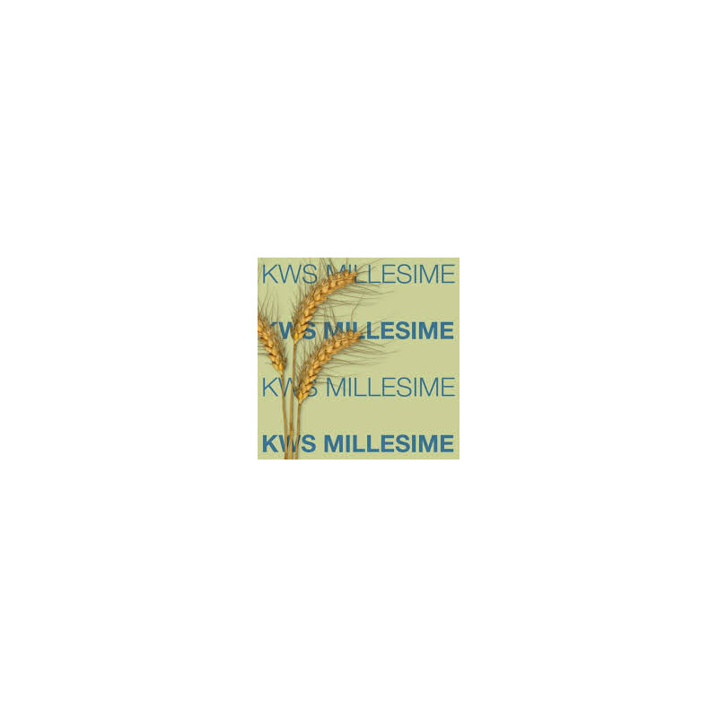 Blé KWS MILLESIME 