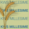 Blé KWS MILLESIME 