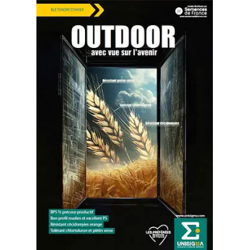 Blé OUTDOOR