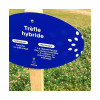 Trèfle hybride CONSTELLATION
